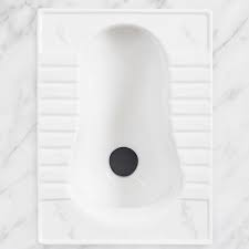 تصویر 4 از انتخاب هوشمندانه سنگ توالت برای هر خانه